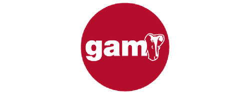 GAM - Digitalización de procesos